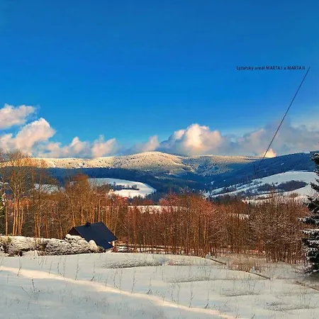 Chata Na Drisi Дештне-в-Орлицьких-Горах Екстер'єр фото