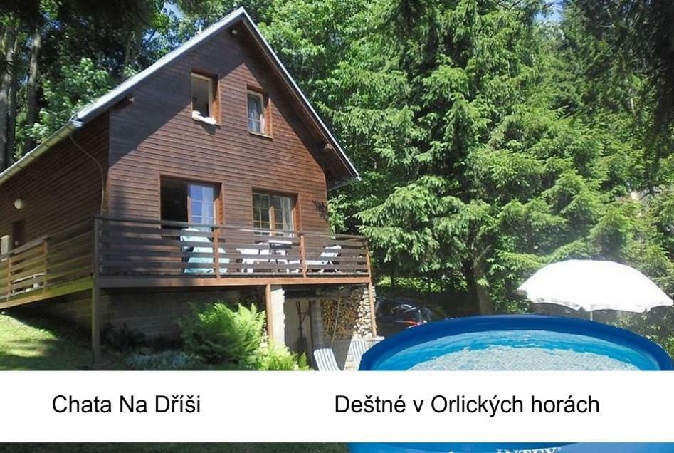 Na Drisi Destne v Orlickych horach