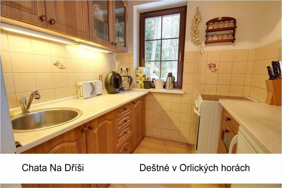 Lodge Na Drisi Destne v Orlickych horach