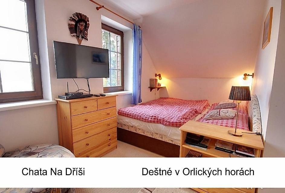 Na Drisi Lodge Destne v Orlickych horach