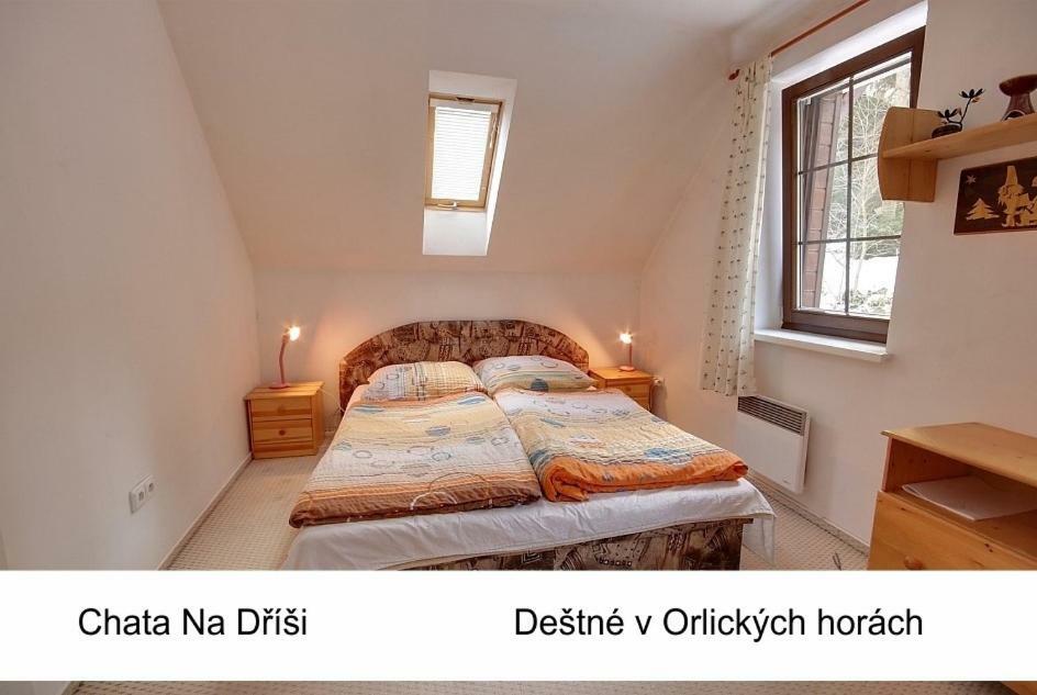 Lodge Na Drisi Destne v Orlickych horach