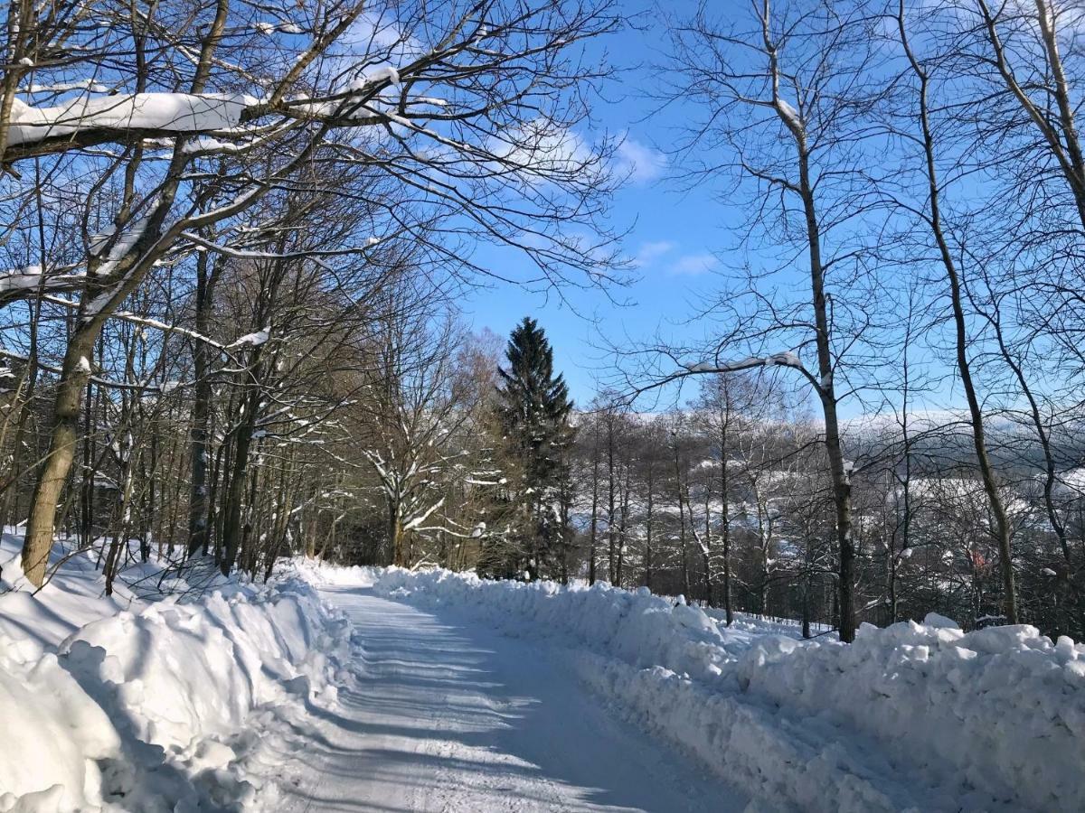 Lodge Na Drisi Destne v Orlickych horach